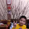 11nhuong