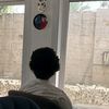hasnainalitraders916