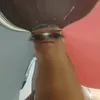 itaipaiva448