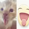 lqxxi0