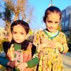 maliksaleem6525