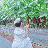linh.khanh.tran