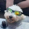 teggmizter