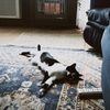 nathanielsmit66