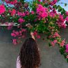 axi_33