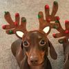 cleeb_lolz