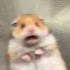 hhheeehaeeee