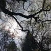 _elli_34