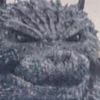 _.foxyp_420._