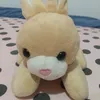 amanda_arrass
