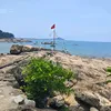 92hoangtrung38