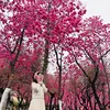 dung_baby2812