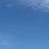zipsyzidane