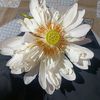 mehtahul
