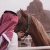 a_bdullah_511