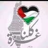 mahmoudsakr00