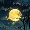 moonlight2w3