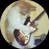 catplayingelectricguitar