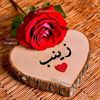 zainabkhan113322