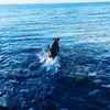 klhuntjones