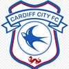 cardiffcitybluebirds