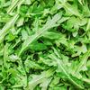 arugula_lover