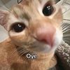 jojrm09