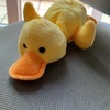 quacku__