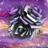 purple_rose3030