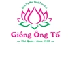 GIỒNG ÔNG TỐ*HAI QUẢN*