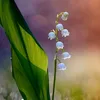 may_b7s