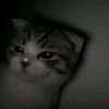 glxsyy_joan