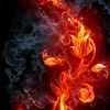 phoenixfire242