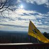 bearsnest_80