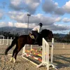 robertoblancooo._