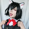lissacos