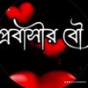 tahsin65888363