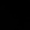 py.305
