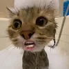 ddghh777699