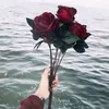 lahori__kurri01