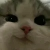 ekisitism