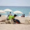 eljarfa