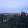 guriyamaqbool9