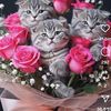 zeynepdemir228