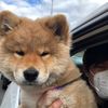 eternalfloof