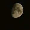 youreapwhatyousow3