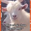 username198371038