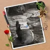 spankyty0226