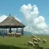 skymalla