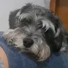 aliss.potaxie
